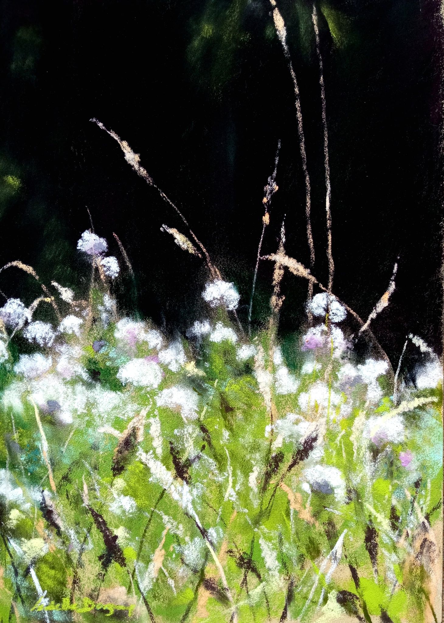 Champ de fleurs - Peinture au pastel sec par l'artiste peintre Isabelle Douzamy - 33 x 43 cm (encadré)