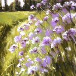 Le chemin des fleurs de phacélie à Matignon - Peinture au pastel sec par l'artiste peintre Isabelle Douzamy - 47 x 57 cm (encadré)