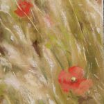 Les coquelicots - Peinture au pastel sec par L'artiste peintre Isabelle Douzamy - 30x57 cm (encadré)