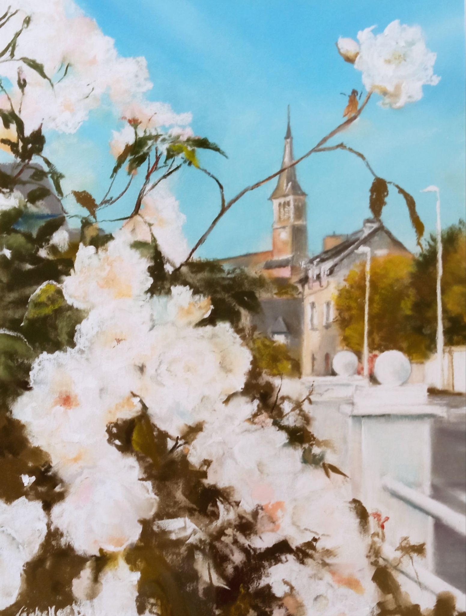 Les roses blanches à Matignon - Peinture au pastel sec par l'artiste peintre Isabelle Douzamy - 47 x 57 cm (encadré)