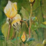 Les roses jaunes - Peinture au pastel sec par l'artiste peintre Isabelle Douzamy - 40x50 cm