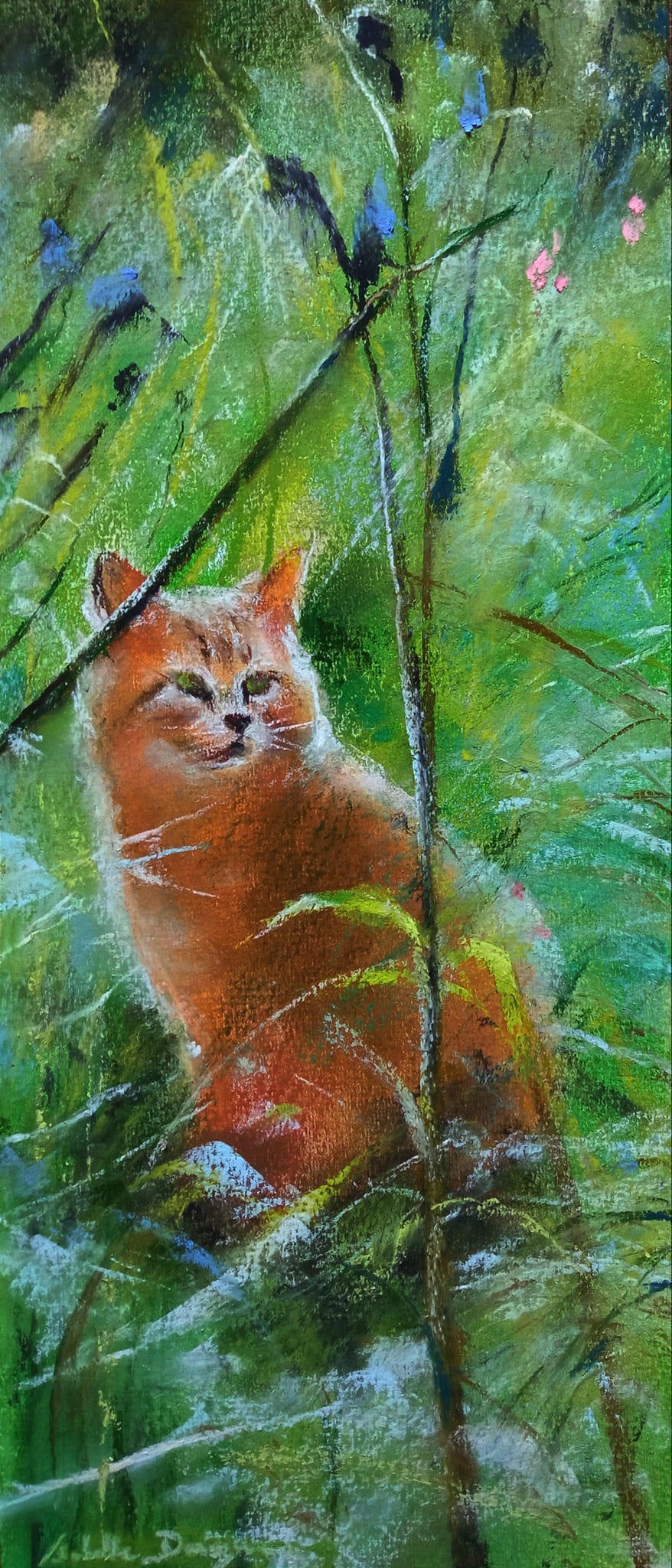 Mon voisin le chat roux - Peinture au pastel sec par l'artiste peintre Isabelle Douzamy - 30 x 57 cm (encadré)