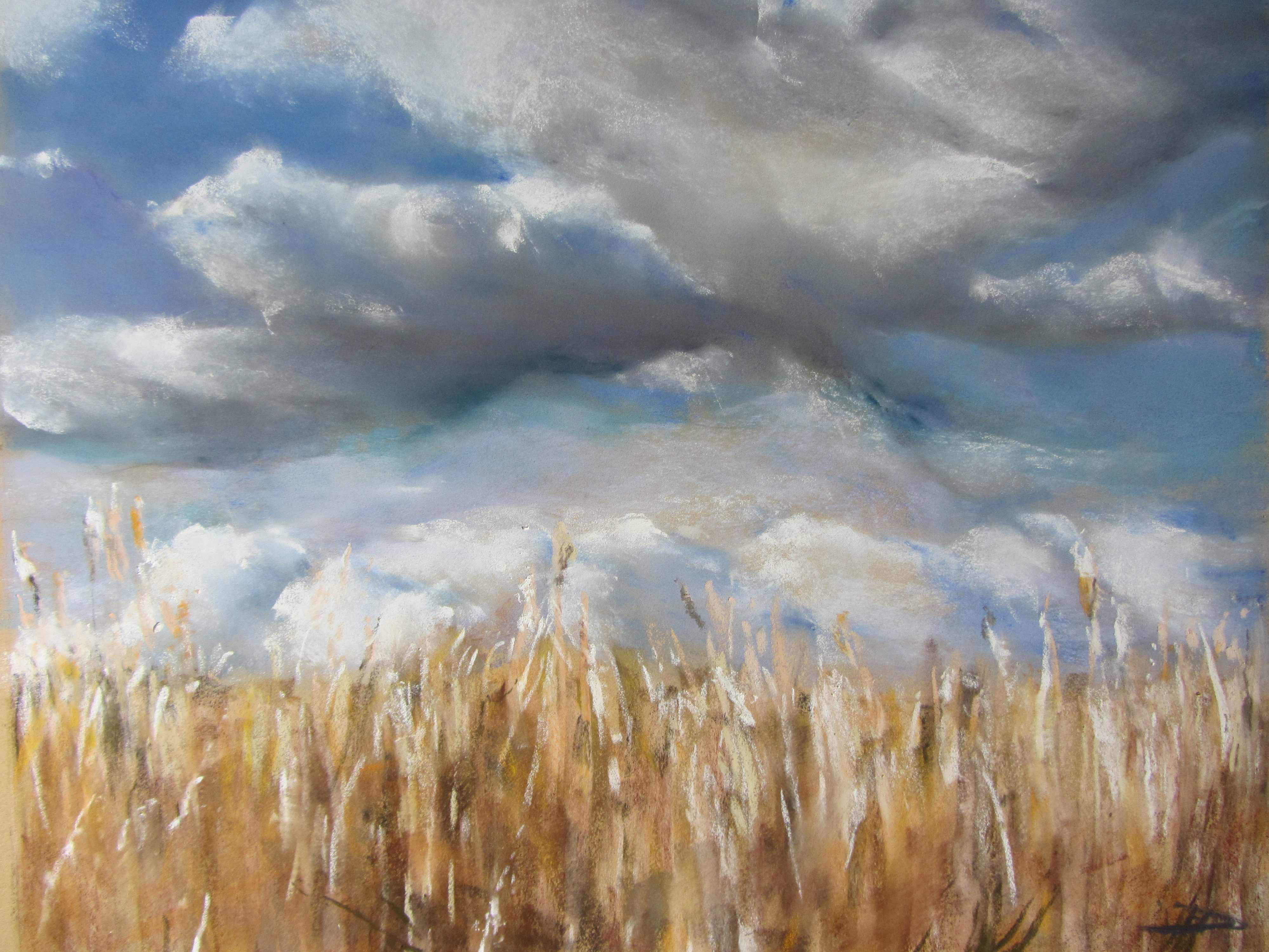Pléven - Peinture au pastel sec par Isabelle Douzamy - 50x65cm